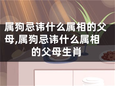 属狗忌讳什么属相的父母,属狗忌讳什么属相的父母生肖