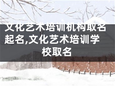 文化艺术培训机构取名起名,文化艺术培训学校取名
