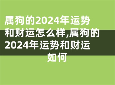 属狗的2024年运势和财运怎么样,属狗的2024年运势和财运如何