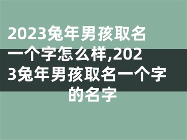 2023兔年男孩取名一个字怎么样,2023兔年男孩取名一个字的名字