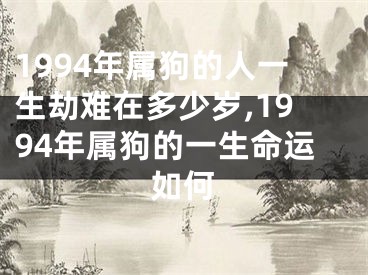 1994年属狗的人一生劫难在多少岁,1994年属狗的一生命运如何
