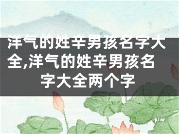 洋气的姓辛男孩名字大全,洋气的姓辛男孩名字大全两个字