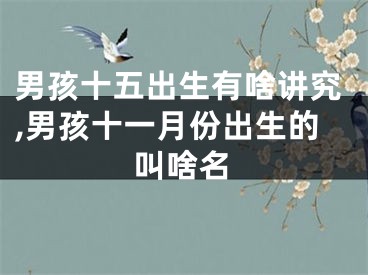 男孩十五出生有啥讲究,男孩十一月份出生的叫啥名