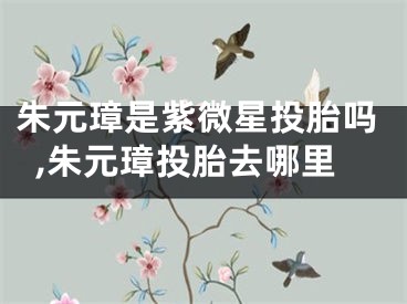 朱元璋是紫微星投胎吗,朱元璋投胎去哪里