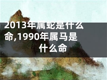 2013年属蛇是什么命,1990年属马是什么命