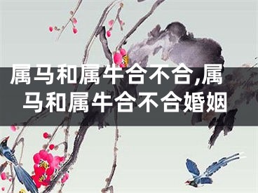 属马和属牛合不合,属马和属牛合不合婚姻
