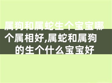 属狗和属蛇生个宝宝哪个属相好,属蛇和属狗的生个什么宝宝好