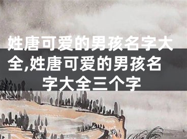 姓唐可爱的男孩名字大全,姓唐可爱的男孩名字大全三个字