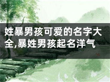 姓暴男孩可爱的名字大全,暴姓男孩起名洋气