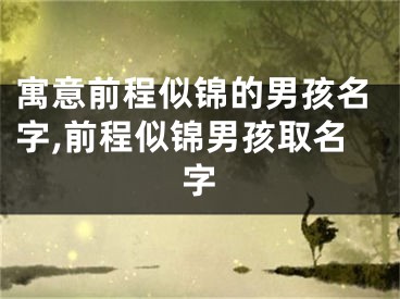 寓意前程似锦的男孩名字,前程似锦男孩取名字