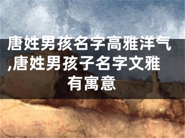 唐姓男孩名字高雅洋气,唐姓男孩子名字文雅有寓意