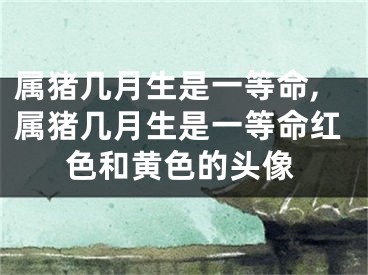 属猪几月生是一等命,属猪几月生是一等命红色和黄色的头像