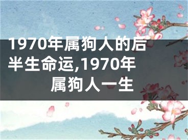 1970年属狗人的后半生命运,1970年属狗人一生