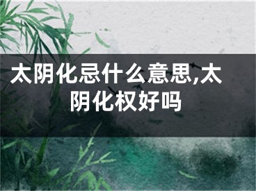 太阴化忌什么意思,太阴化权好吗