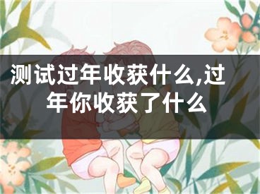 测试过年收获什么,过年你收获了什么