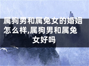 属狗男和属兔女的婚姻怎么样,属狗男和属兔女好吗