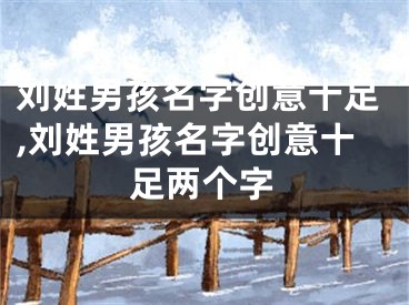 刘姓男孩名字创意十足,刘姓男孩名字创意十足两个字