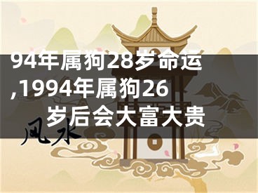 94年属狗28岁命运,1994年属狗26岁后会大富大贵