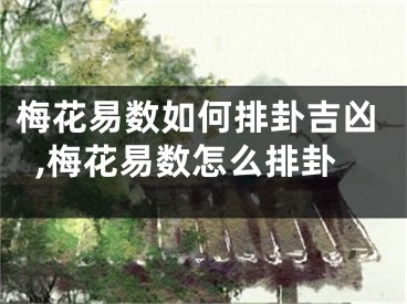 梅花易数如何排卦吉凶,梅花易数怎么排卦