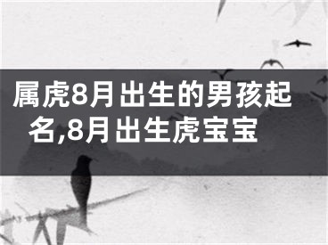 属虎8月出生的男孩起名,8月出生虎宝宝
