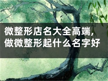 微整形店名大全高端,做微整形起什么名字好
