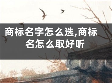 商标名字怎么选,商标名怎么取好听