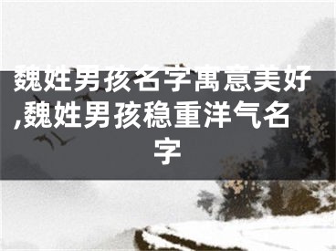 魏姓男孩名字寓意美好,魏姓男孩稳重洋气名字