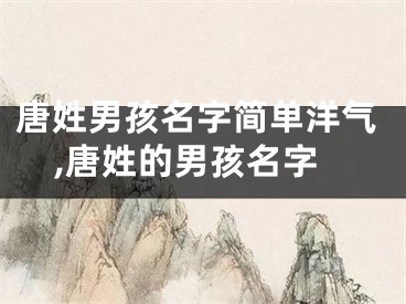 唐姓男孩名字简单洋气,唐姓的男孩名字