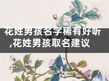 花姓男孩名字稀有好听,花姓男孩取名建议