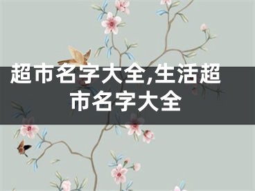 超市名字大全,生活超市名字大全