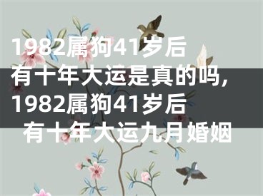 1982属狗41岁后有十年大运是真的吗,1982属狗41岁后有十年大运九月婚姻