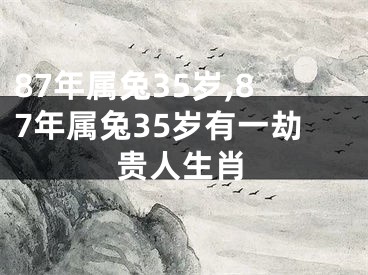 87年属兔35岁,87年属兔35岁有一劫贵人生肖