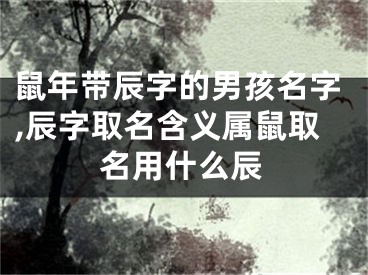 鼠年带辰字的男孩名字,辰字取名含义属鼠取名用什么辰
