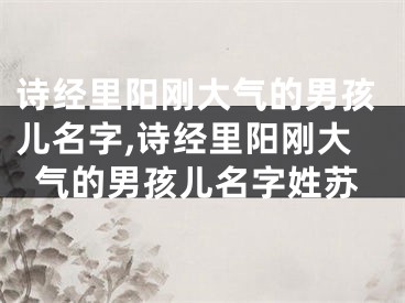 诗经里阳刚大气的男孩儿名字,诗经里阳刚大气的男孩儿名字姓苏