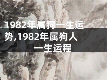 1982年属狗一生运势,1982年属狗人一生运程