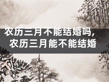 农历三月不能结婚吗,农历三月能不能结婚
