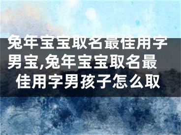 兔年宝宝取名最佳用字男宝,兔年宝宝取名最佳用字男孩子怎么取