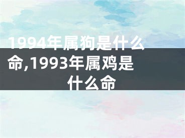 1994年属狗是什么命,1993年属鸡是什么命