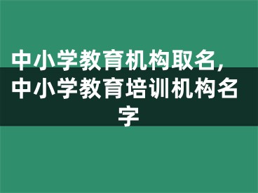 中小学教育机构取名,中小学教育培训机构名字