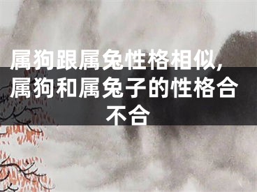 属狗跟属兔性格相似,属狗和属兔子的性格合不合