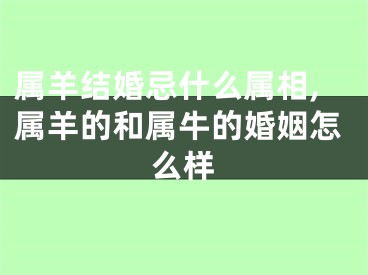 属羊结婚忌什么属相,属羊的和属牛的婚姻怎么样