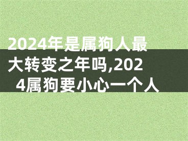 2024年是属狗人最大转变之年吗,2024属狗要小心一个人