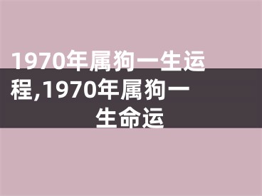 1970年属狗一生运程,1970年属狗一生命运