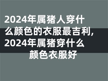 2024年属猪人穿什么颜色的衣服最吉利,2024年属猪穿什么颜色衣服好
