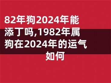 82年狗2024年能添丁吗,1982年属狗在2024年的运气如何