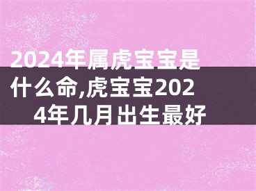 2024年属虎宝宝是什么命,虎宝宝2024年几月出生最好