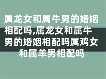 属龙女和属牛男的婚姻相配吗,属龙女和属牛男的婚姻相配吗属鸡女和属羊男相配吗