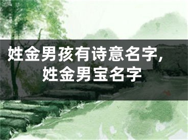 姓金男孩有诗意名字,姓金男宝名字