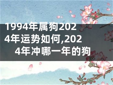1994年属狗2024年运势如何,2024年冲哪一年的狗
