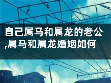 自己属马和属龙的老公,属马和属龙婚姻如何